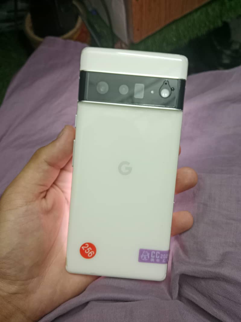 Google Pixel 6 Pro 1