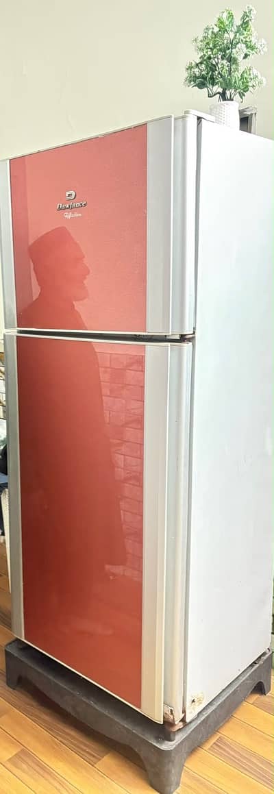 Refrigerator & freezer large