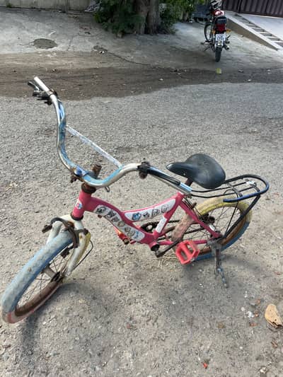 Pink Cycle