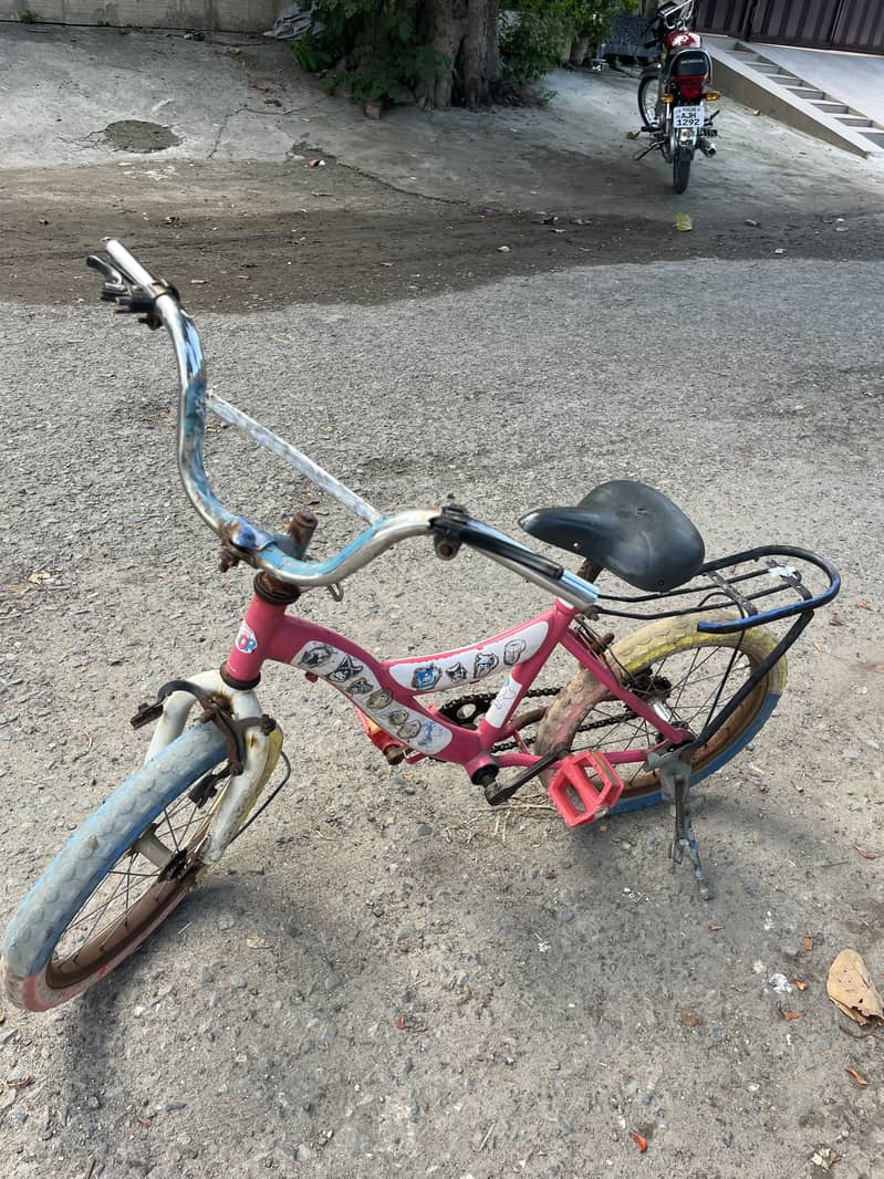 Pink Cycle 0