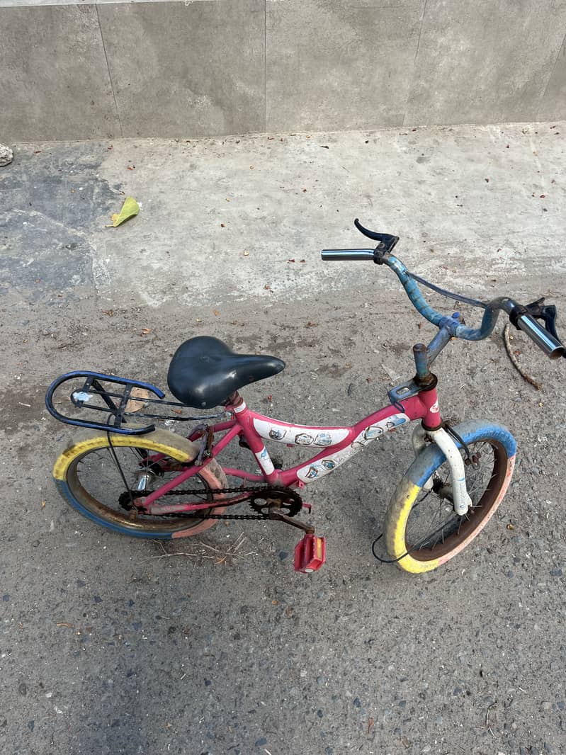 Pink Cycle 1
