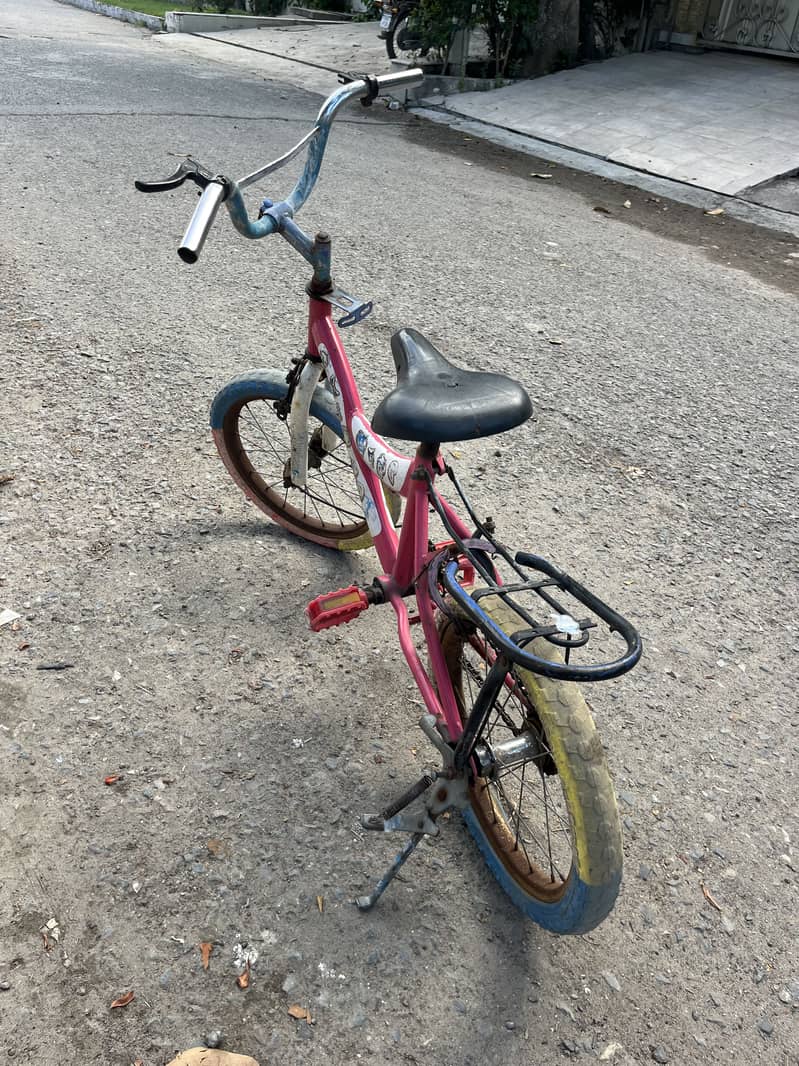 Pink Cycle 2