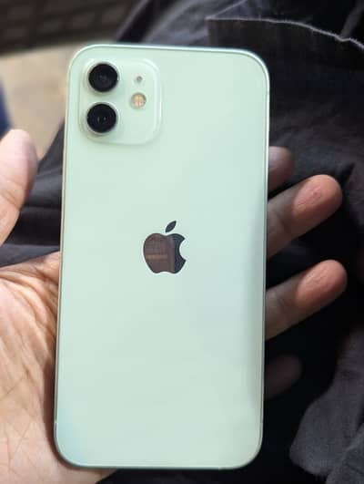 Iphone 12 Apple green colour