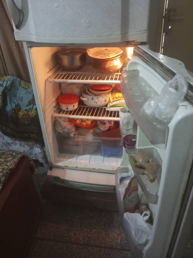 PEL Refrigrator 8 CFT 1