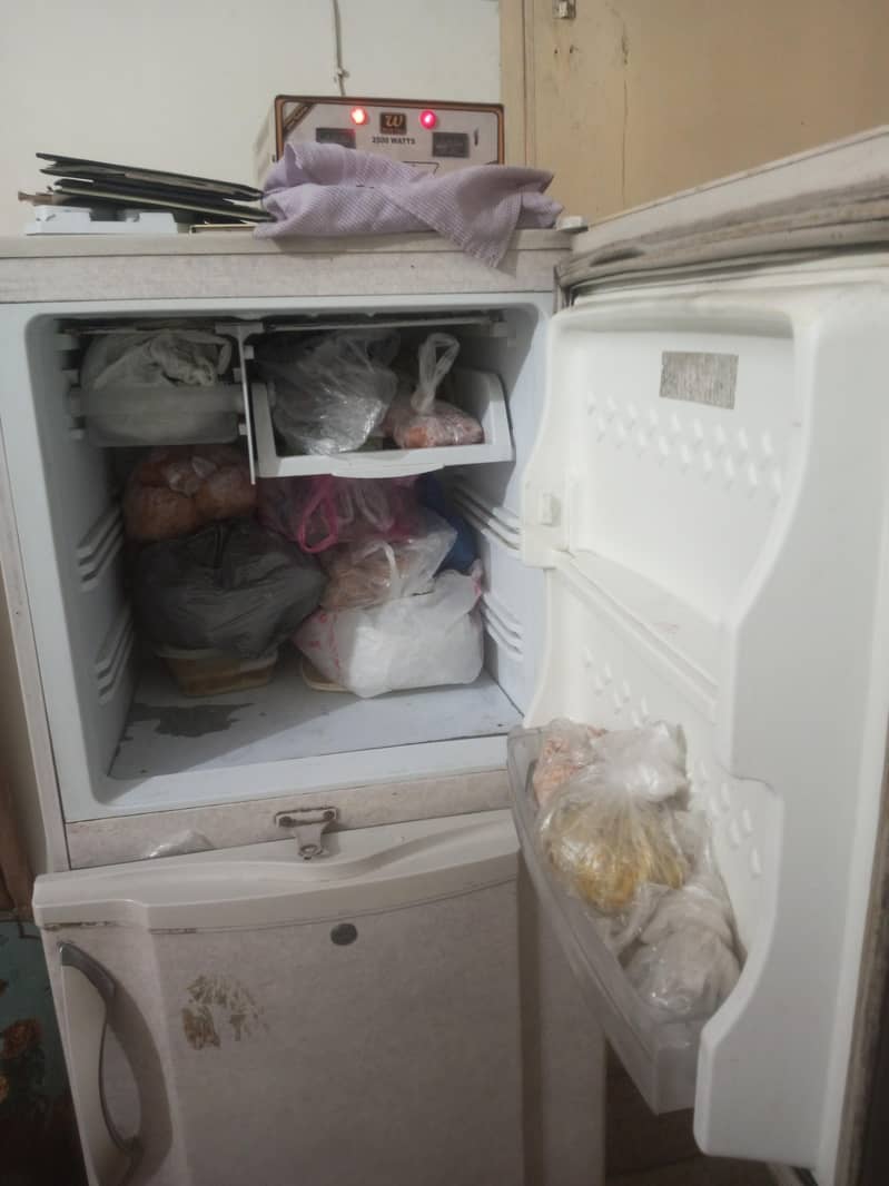 PEL Refrigrator 8 CFT 3