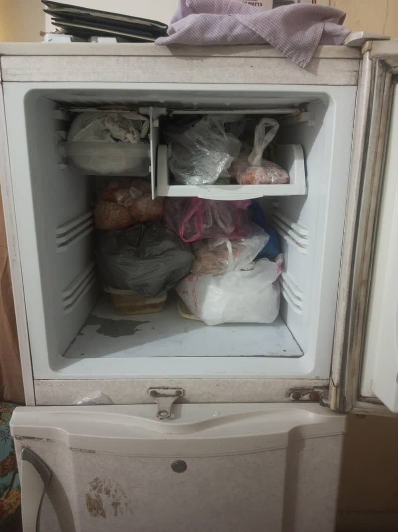 PEL Refrigrator 8 CFT 4
