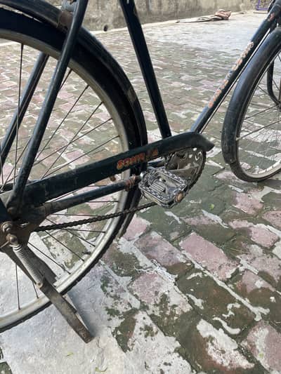 Baba cycles