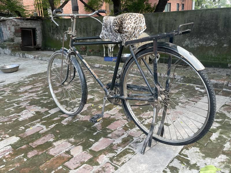 Baba cycles 2