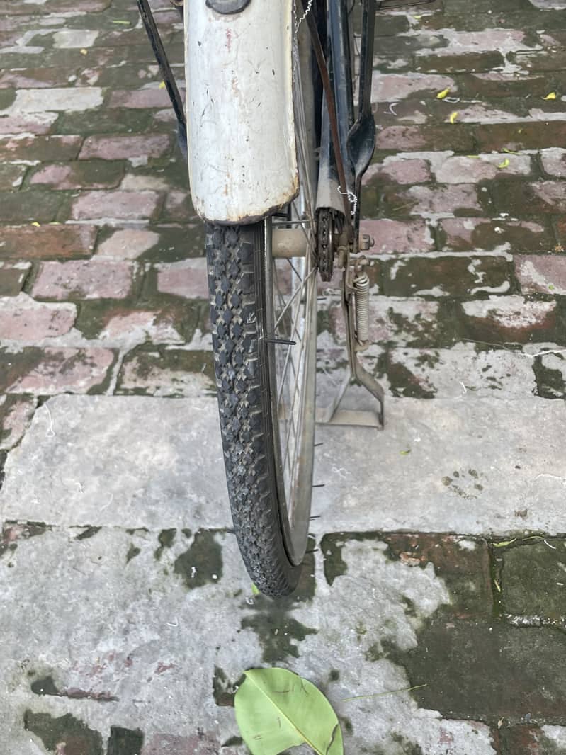 Baba cycles 5
