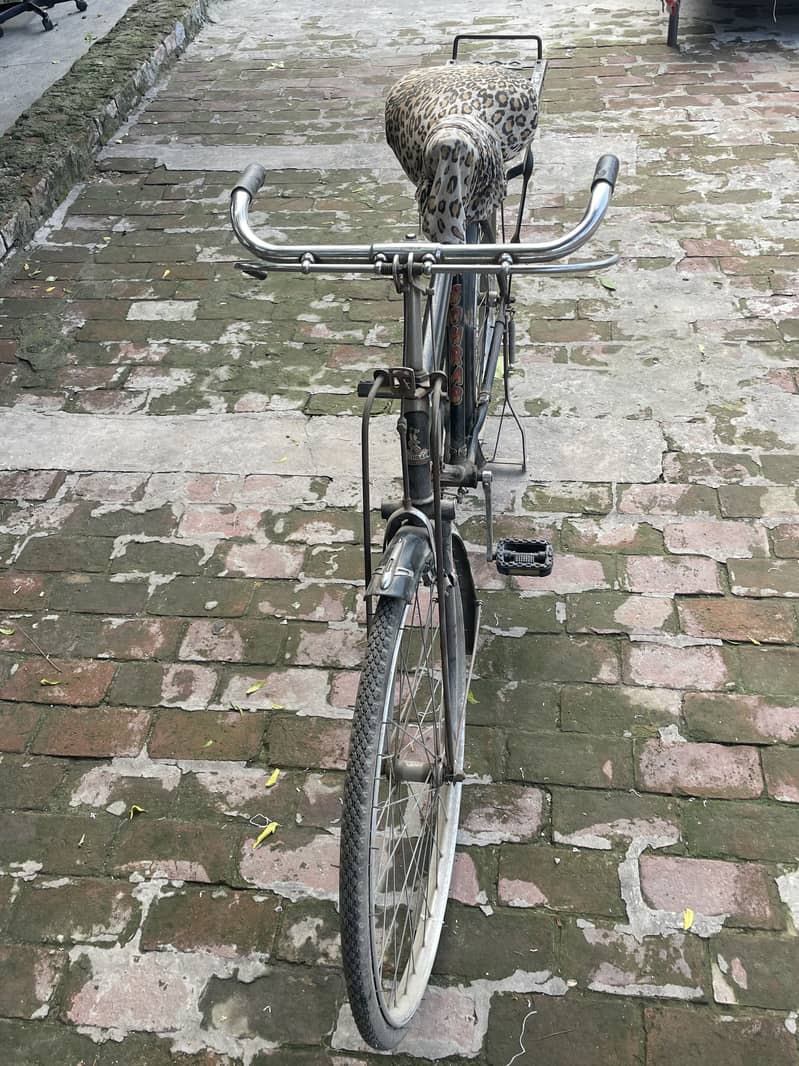 Baba cycles 6
