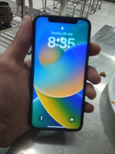 Apple iPhone X