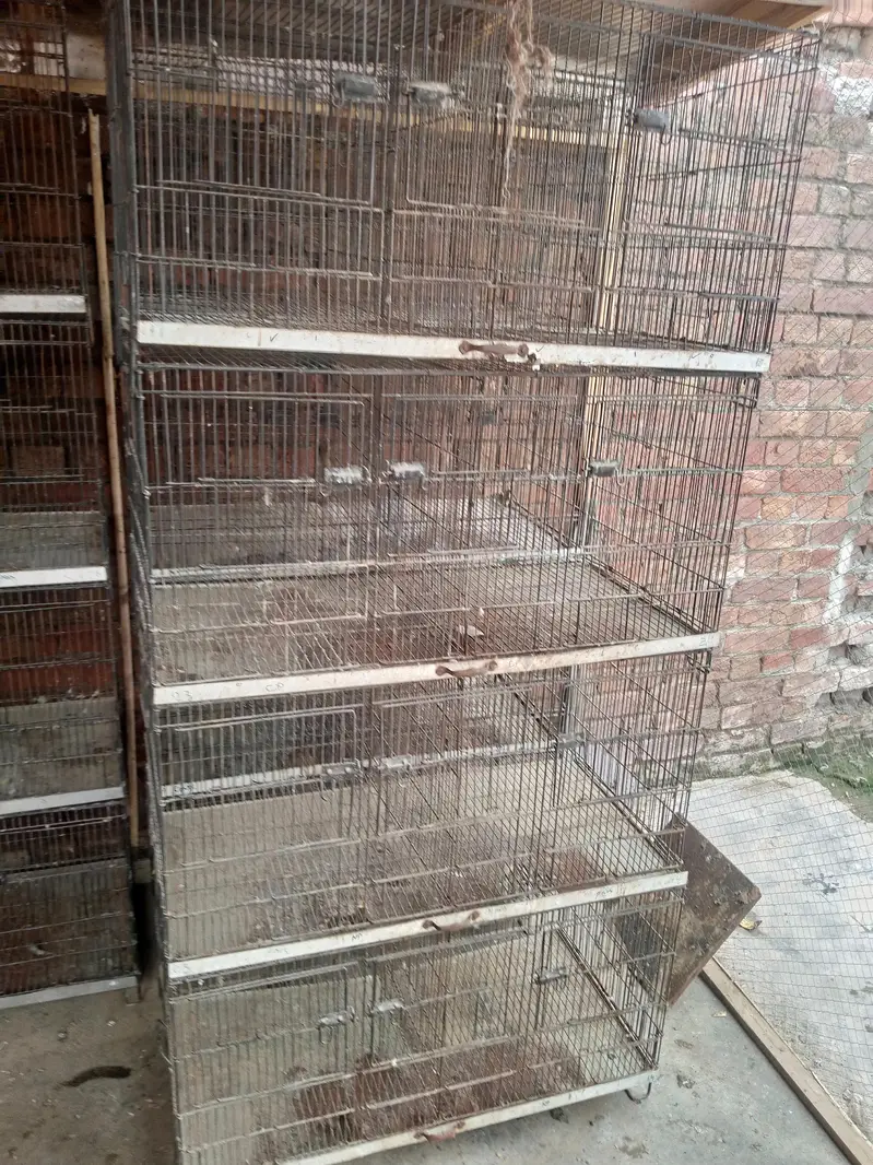 folding cage 4 portions 8 khany without tray — photo 3