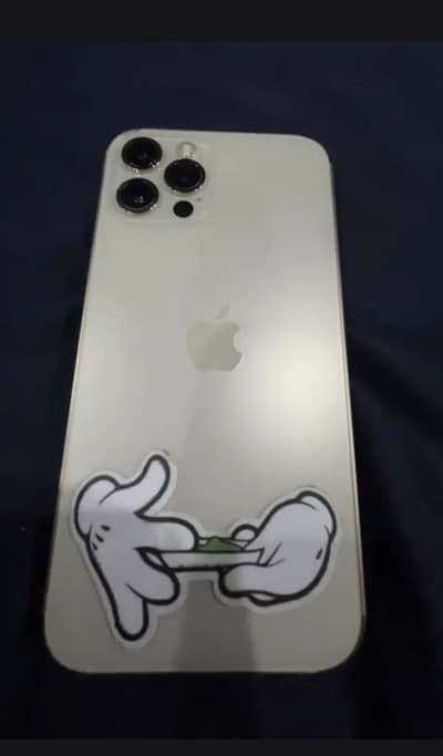 12 pro