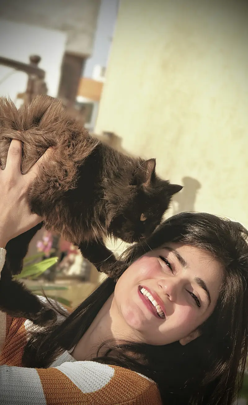 Black persian male cat — photo 3