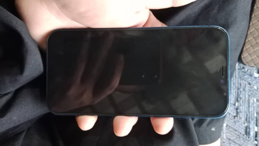 Apple iPhone 12 0