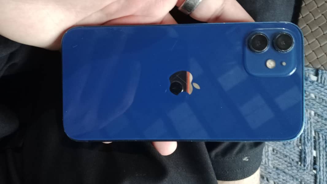 Apple iPhone 12 1