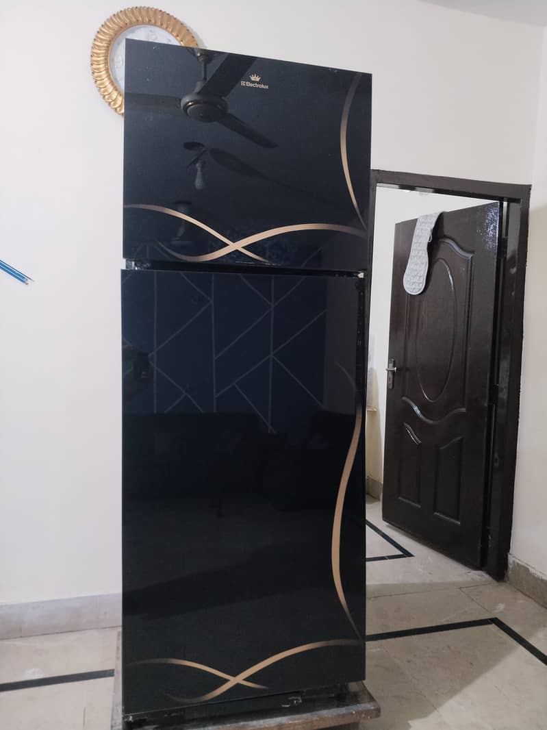 full size 0