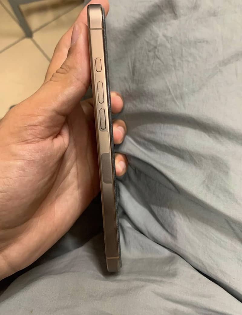Apple iPhone 16 Pro Max 6
