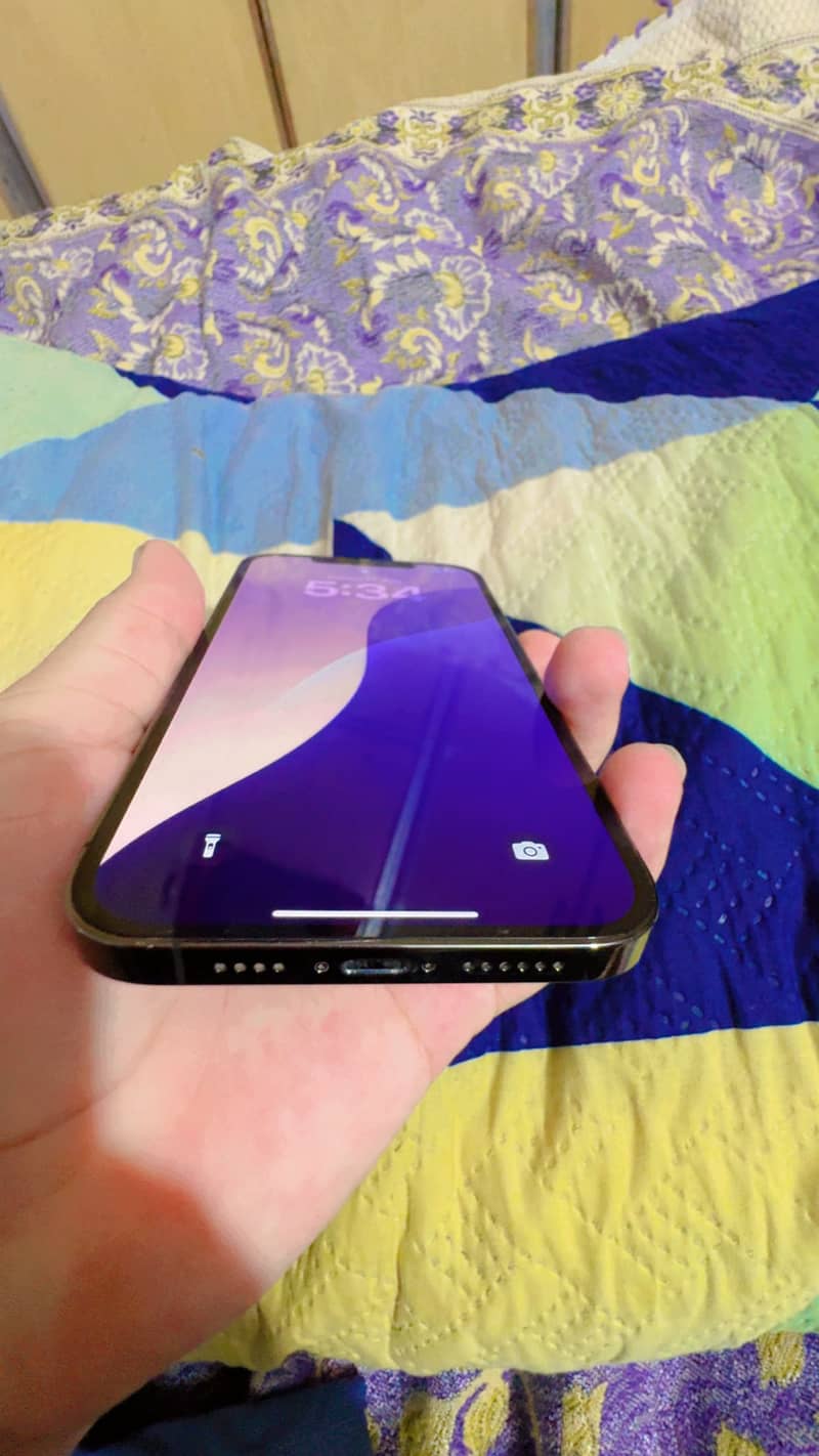 12 Pro max 6