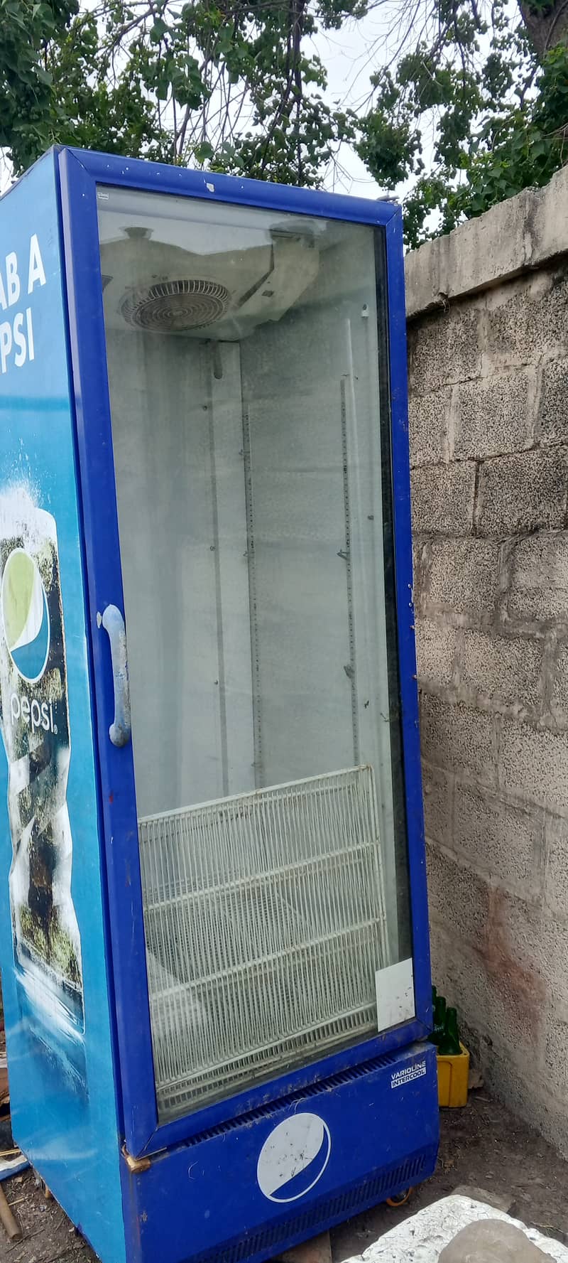 Papsi chiller 3