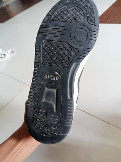 puma rebound v6