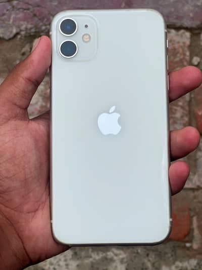 i Phone 11   10/10