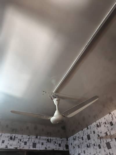 Celling fan