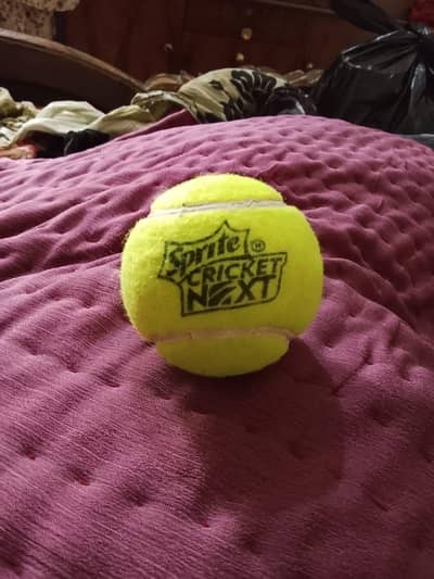 Showing Akhter Sgned cricket ball