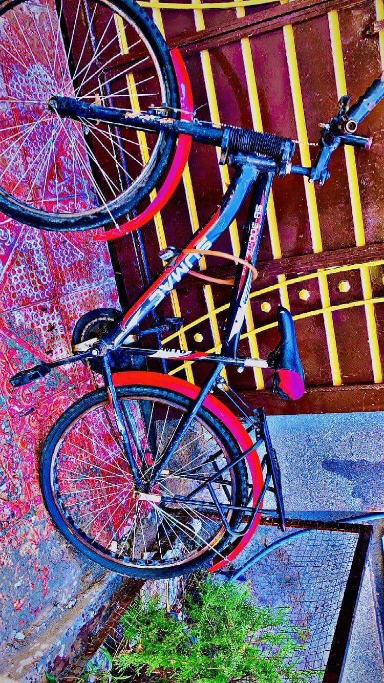 Sumac bicycle 0