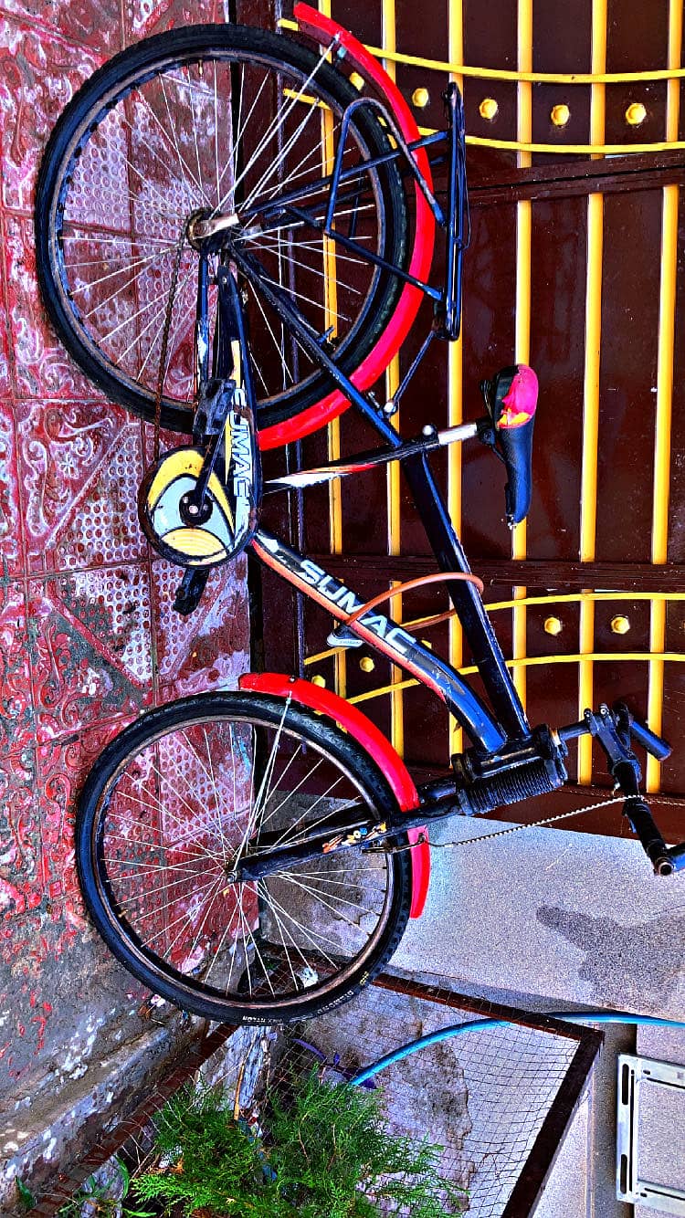 Sumac bicycle 1