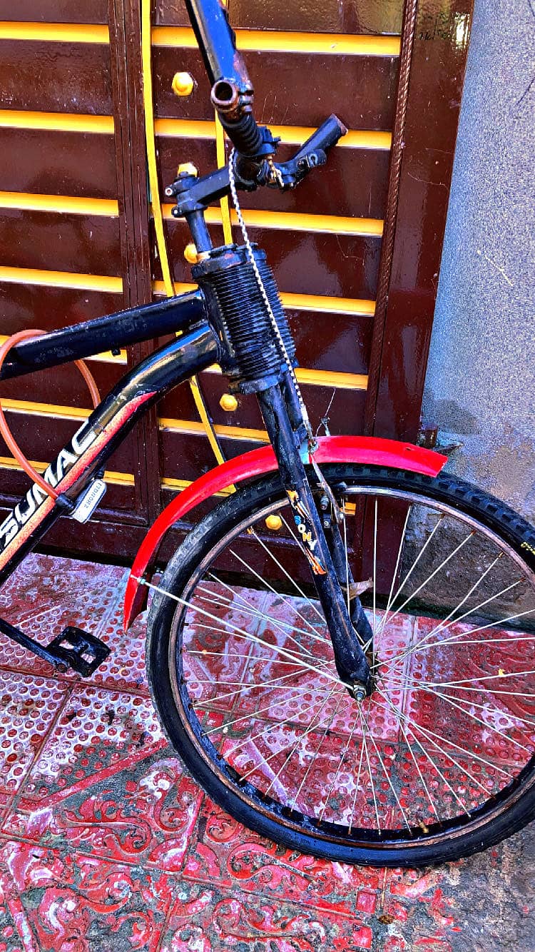 Sumac bicycle 2