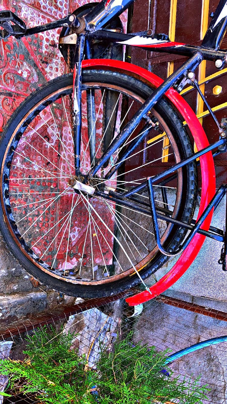 Sumac bicycle 3