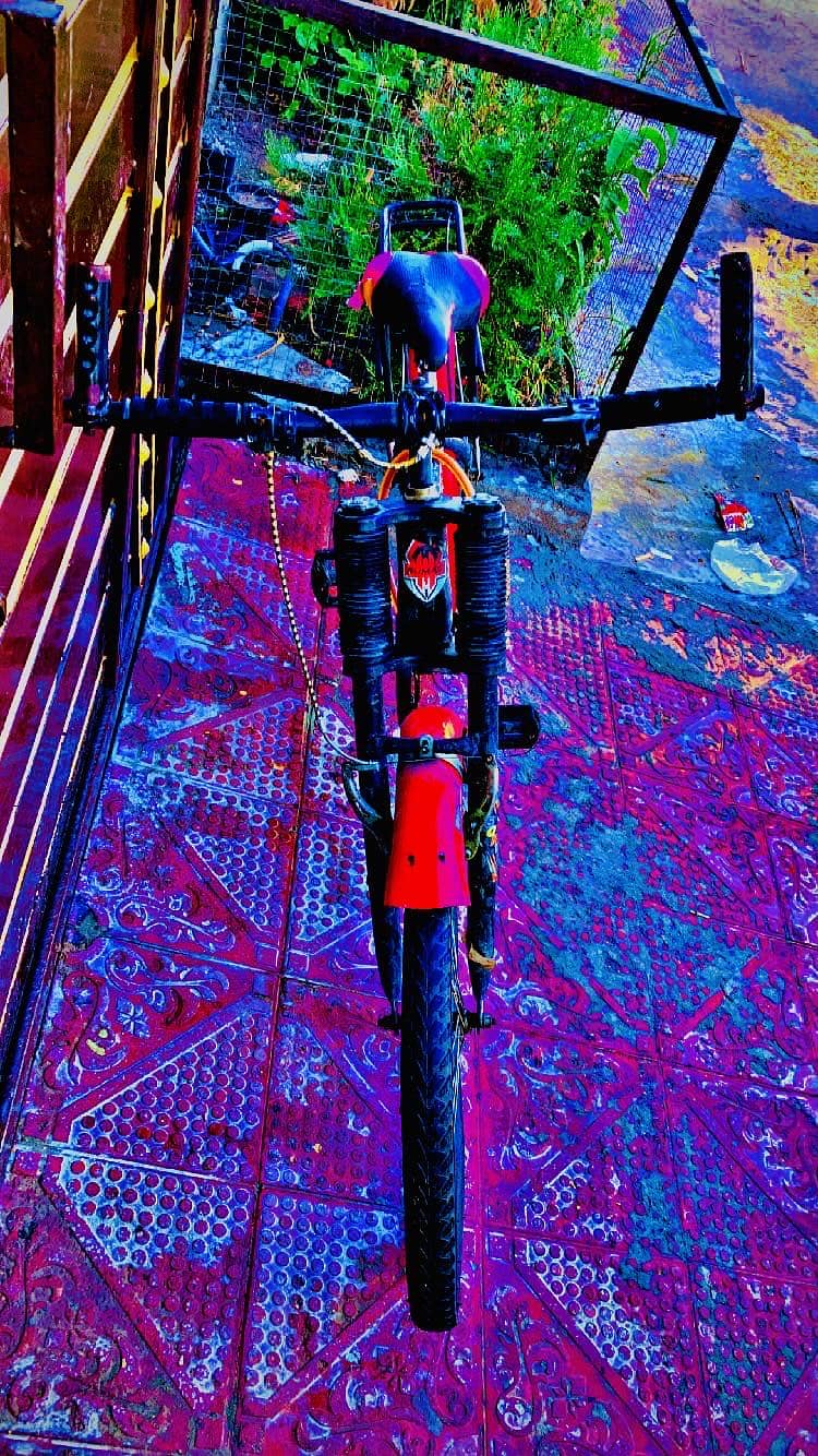 Sumac bicycle 4