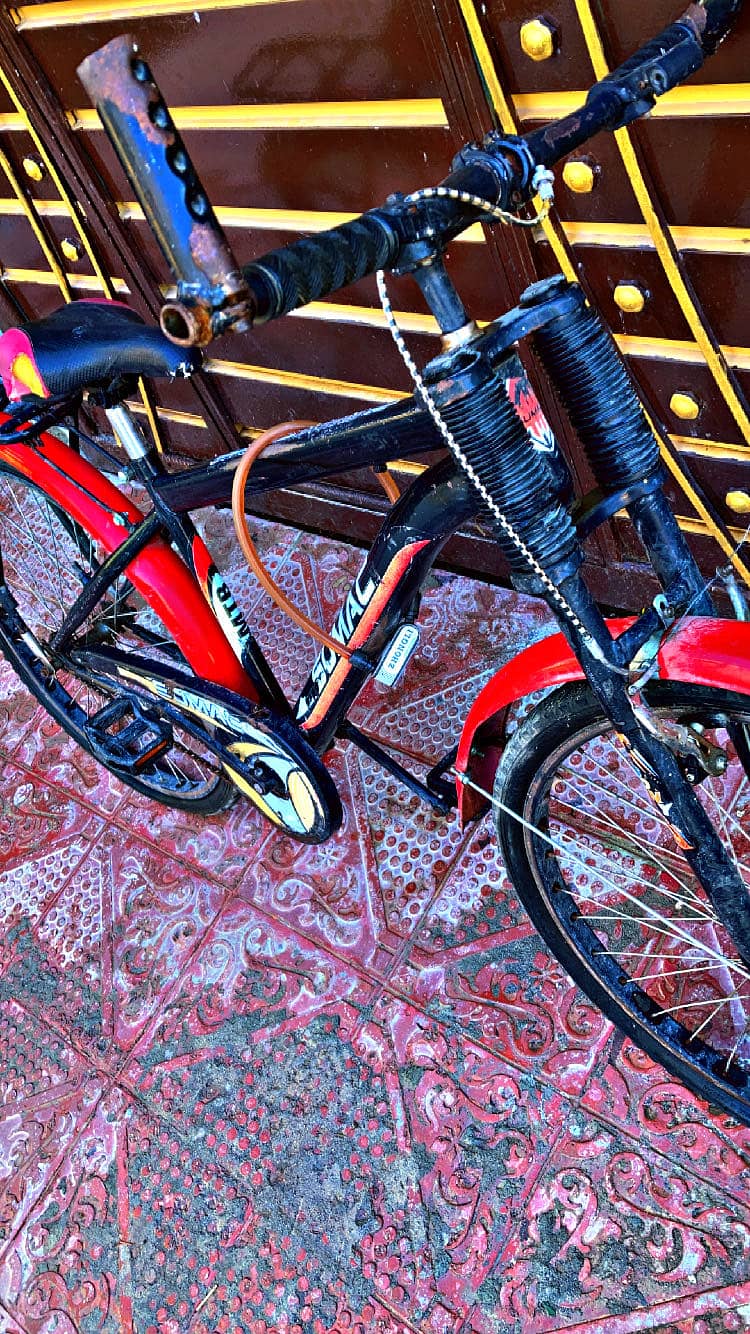 Sumac bicycle 5