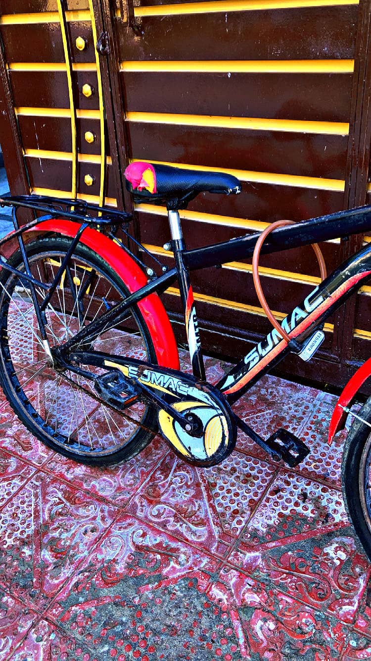 Sumac bicycle 6