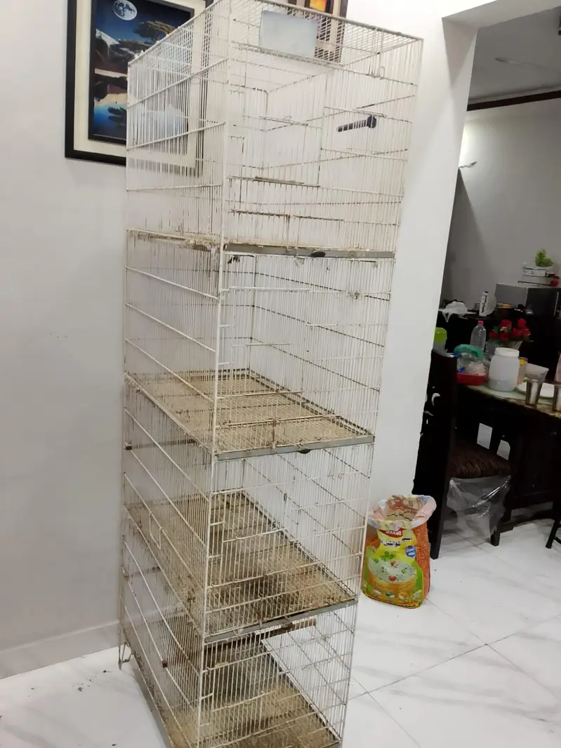 bird's cages — photo 2
