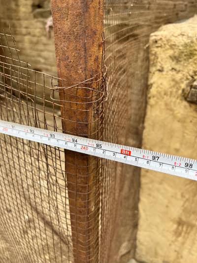 peagion cage
