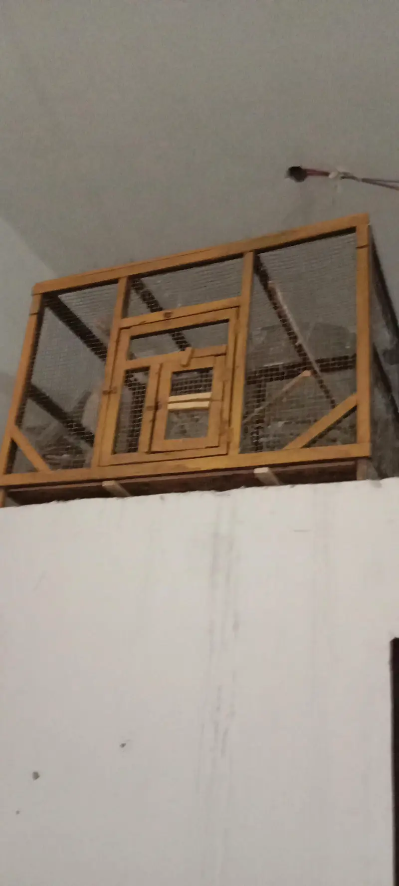 wood cage