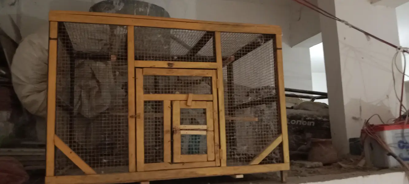 wood cage — photo 2