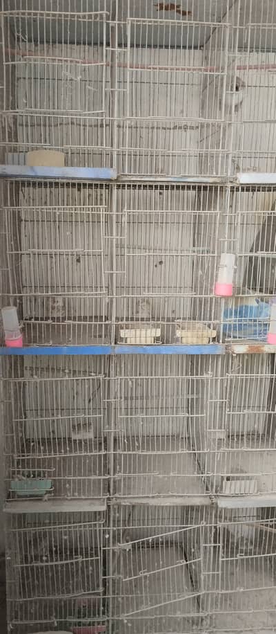 Parrot cages for sale