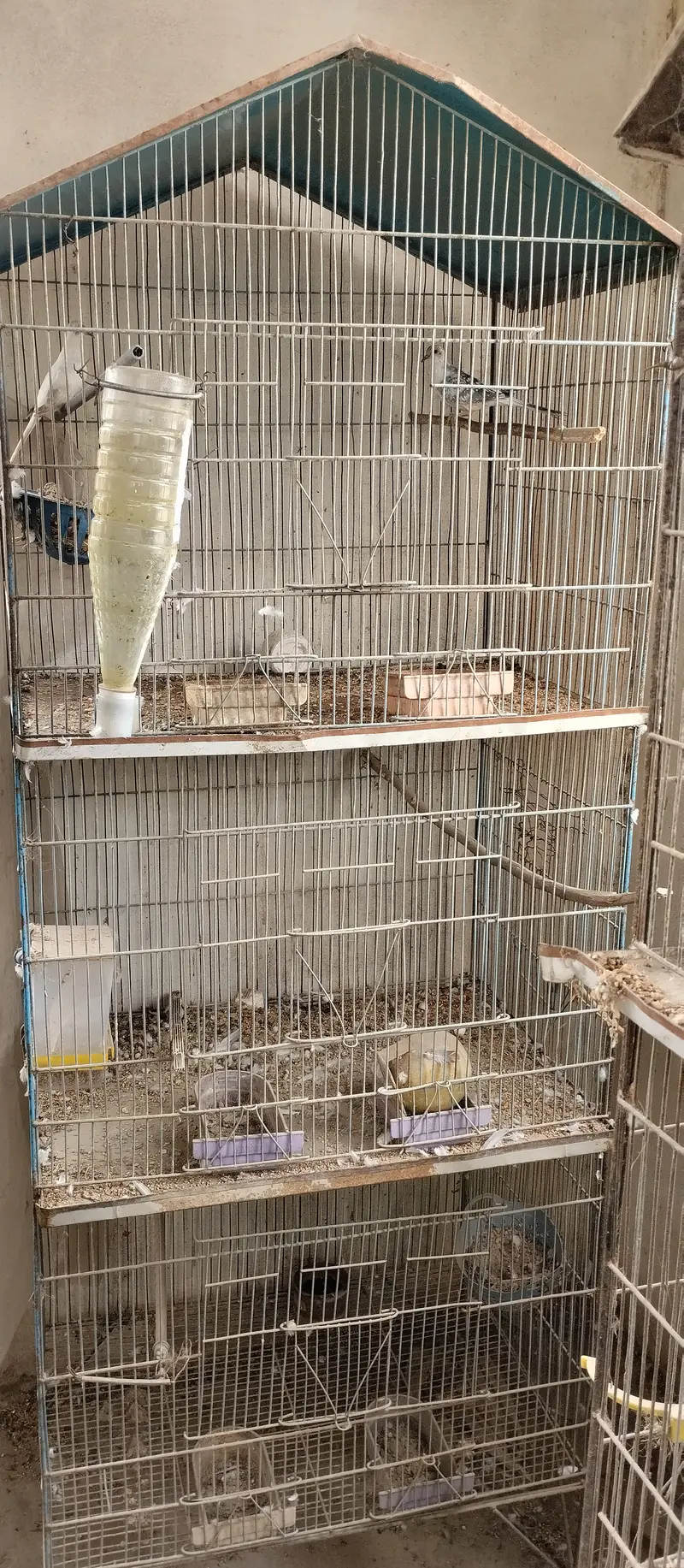 Parrot cages for sale — photo 2