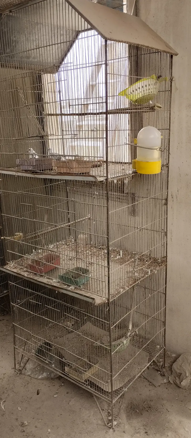 Parrot cages for sale — photo 5