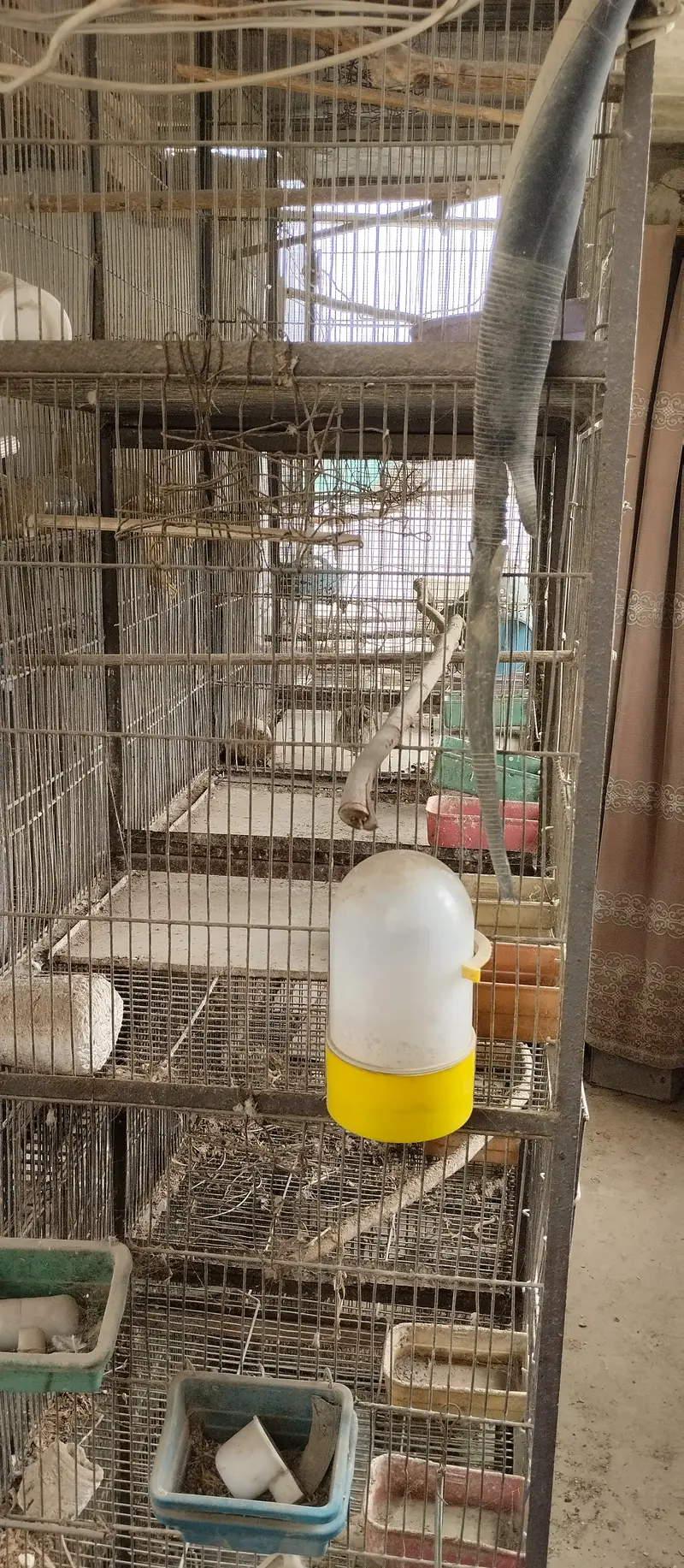 Parrot cages for sale — photo 7