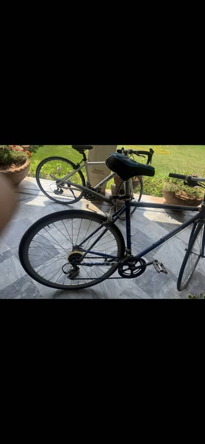 Bicycles imported urgent for sale