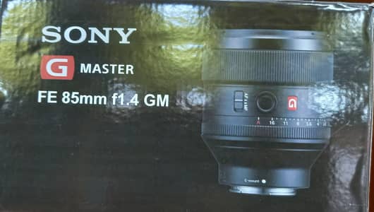 Sony G Mater 85mm 1.4