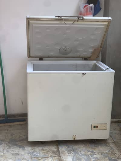 Haier single door freezer for argent sale