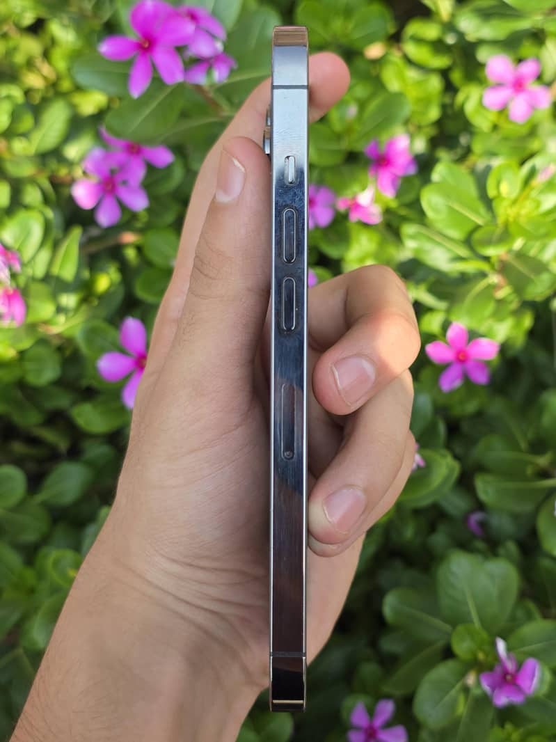 Apple iPhone 13 Pro 2