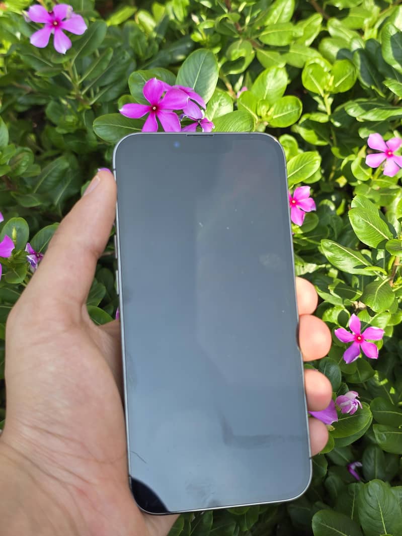 Apple iPhone 13 Pro 3