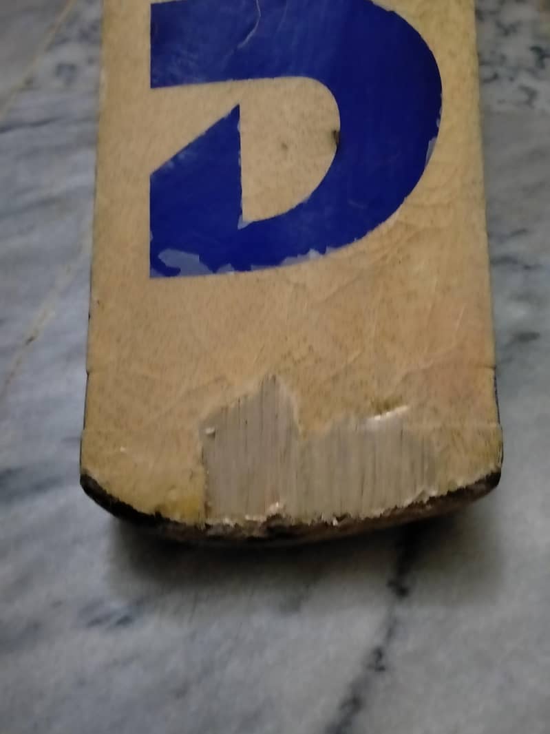 cricket bat 1