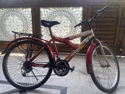 Morgan Mountain Bike